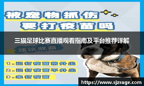 bsports必一体育