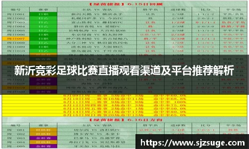 bsports官网